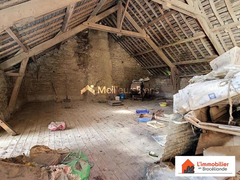 Longère - 250 m² - 5 pièces