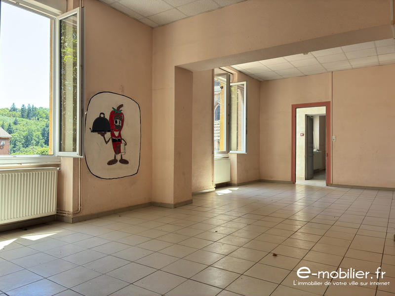 Maison ancienne - 370 m² - 14 pièces