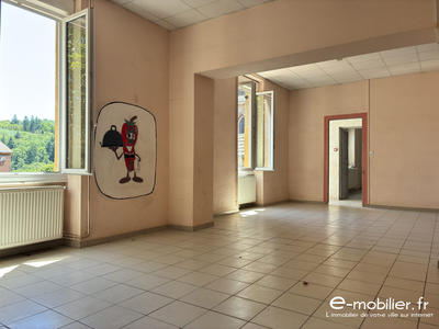 Maison ancienne - 370 m² - 14 pièces