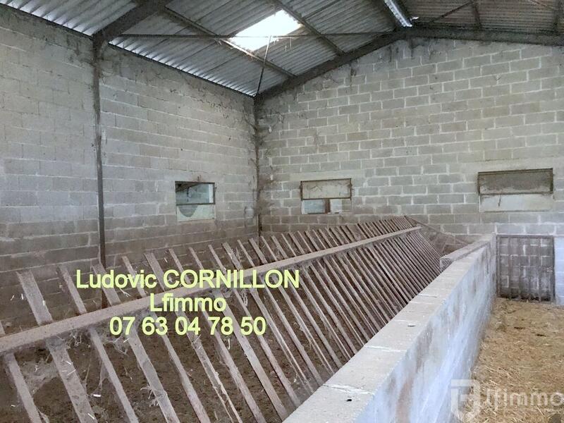 Ferme - 200 m² - 6 pièces