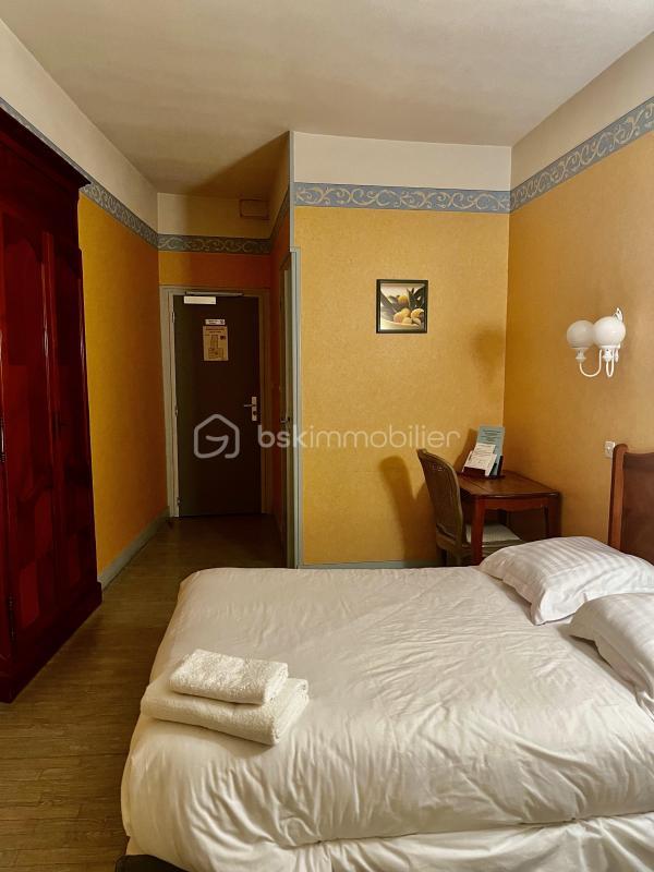 Hôtel particulier - 394 m² - 10 pièces