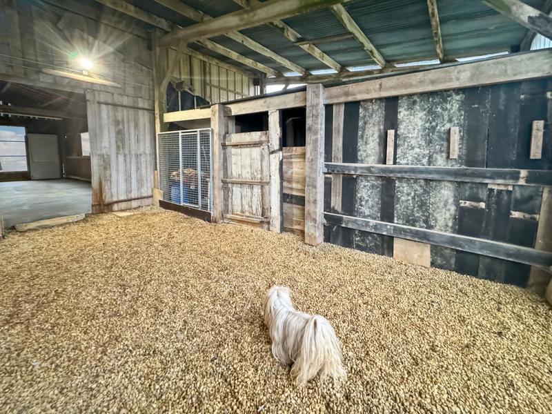 Maison - 252 m² - 6 pièces