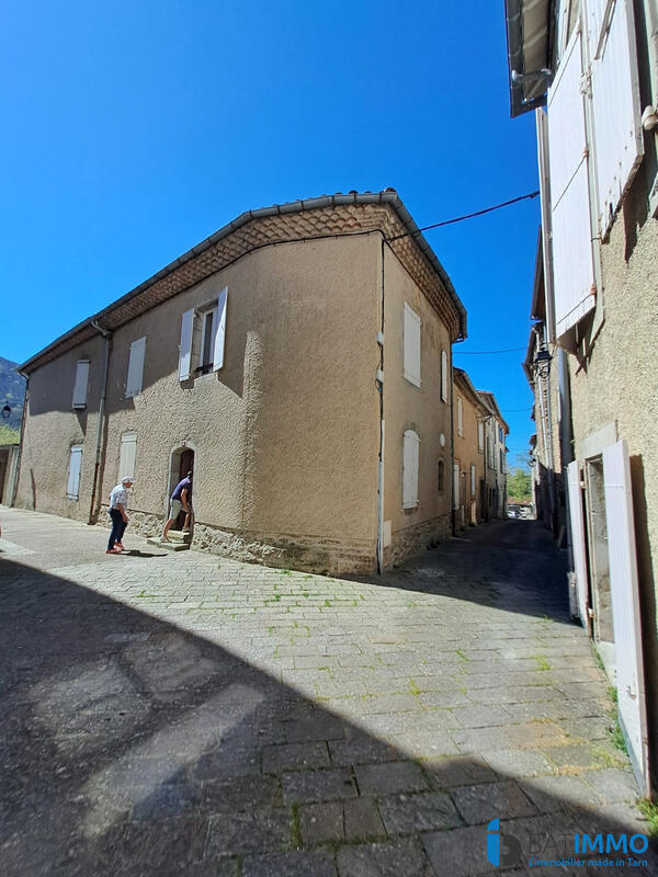 Maison ancienne - 300 m² - 10 pièces