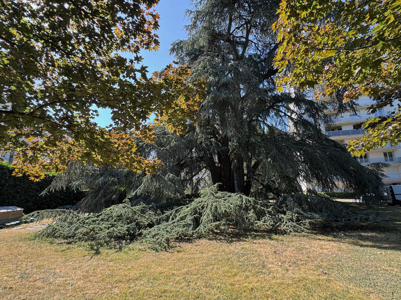 Appartement - 98 m² - 5 pièces