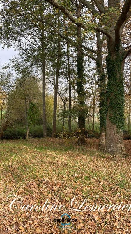 Fermette - 60 m² - 4 pièces