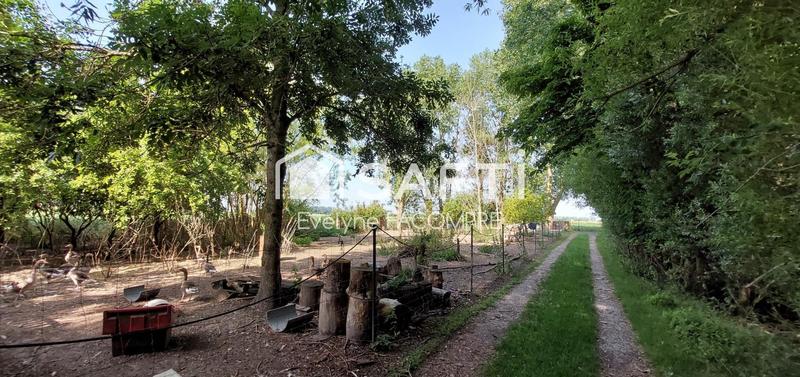 Terrain agricole - 6 393 m²