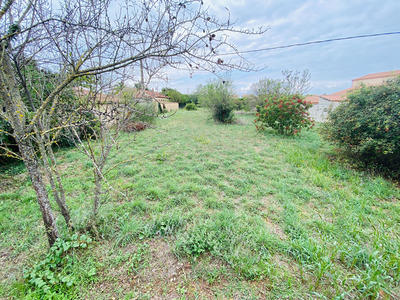 Terrain - 1 833 m²