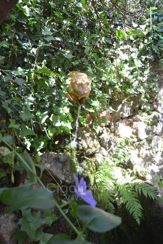 Maison en pierre - 279 m² - 11 pièces