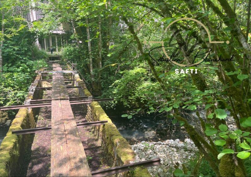 Immeuble - 1 495 m²