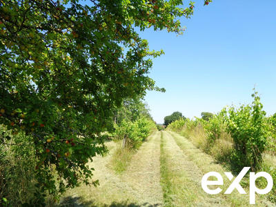 Ferme - 45 m² - 1 pièce