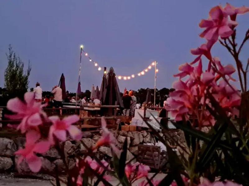 Soirée Blanche du Grand Mayne