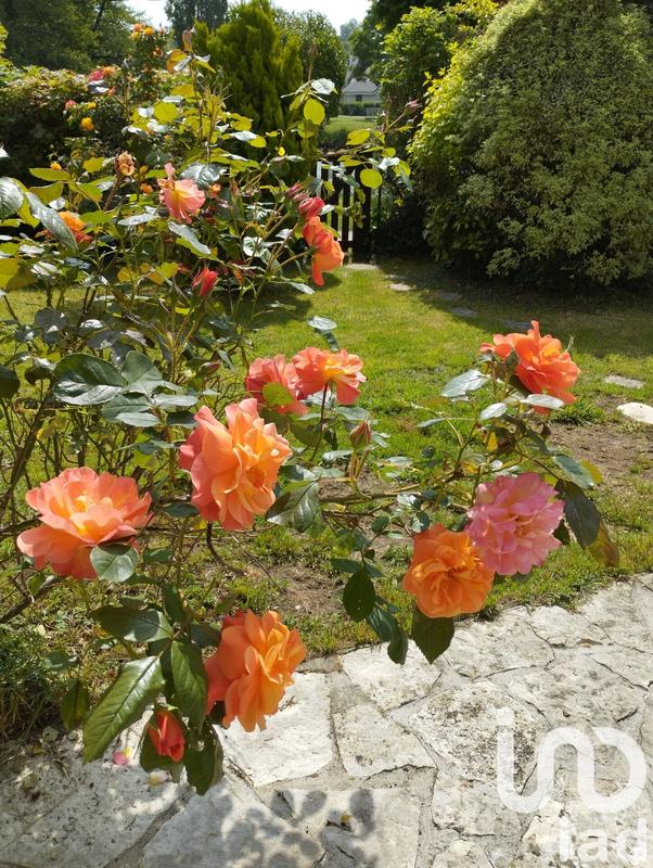 Maison - 144 m² - 6 pièces