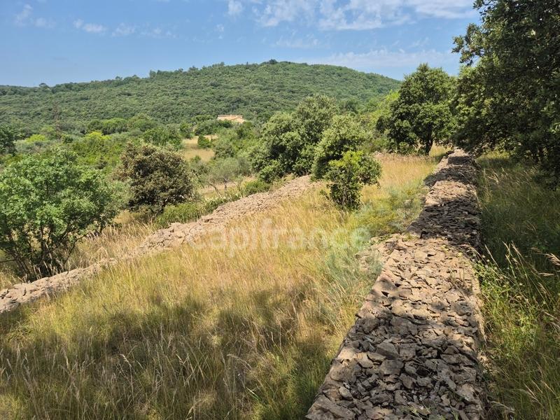 Maison - 167 m² - 5 pièces