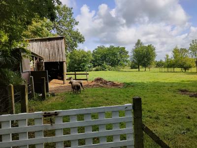 Maison ancienne - 115 m² - 6 pièces