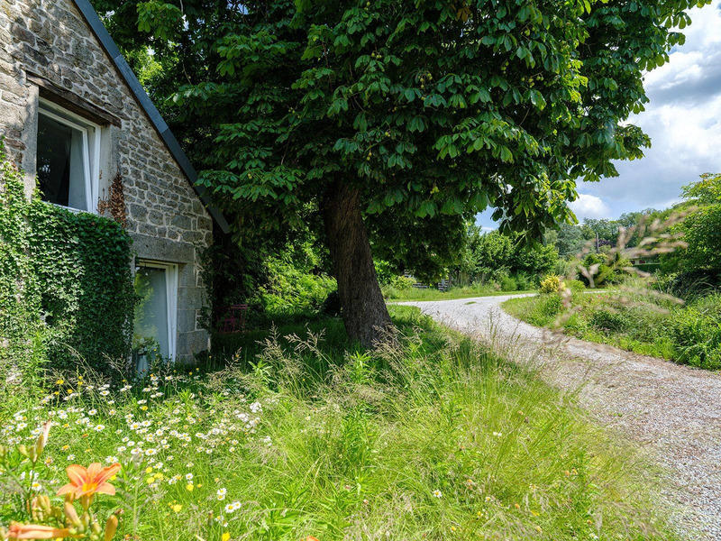 Fonds de commerce - 645 m²