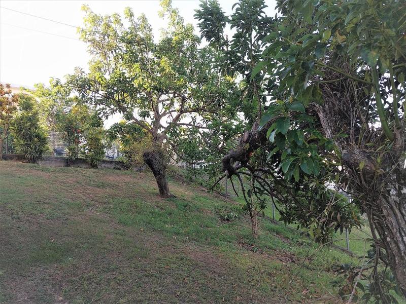 Villa - 156 m² - 6 pièces