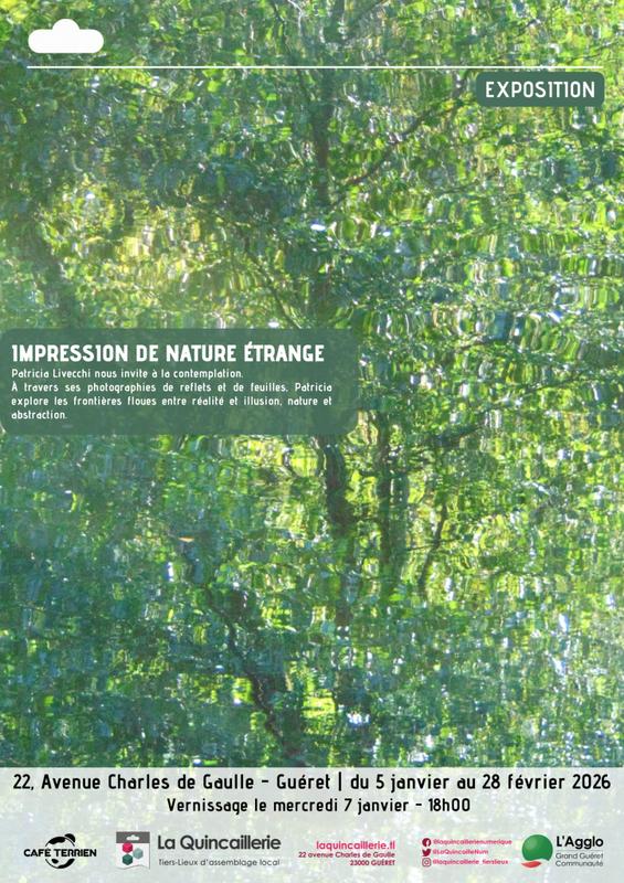 Exposition : Impression de nature étrange
