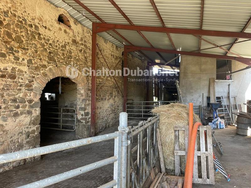 Corps de ferme - 171 m² - 7 pièces