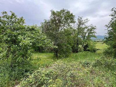 Terrain - 1 594 m²