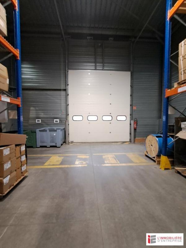 Local d'activité / Entrepôt - 619 m²