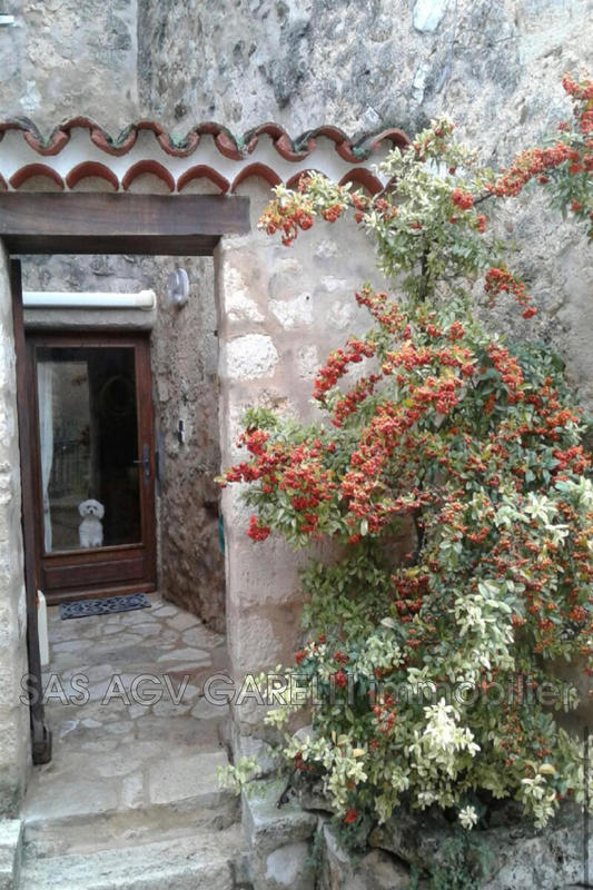 Maison en pierre - 55 m² - 3 pièces