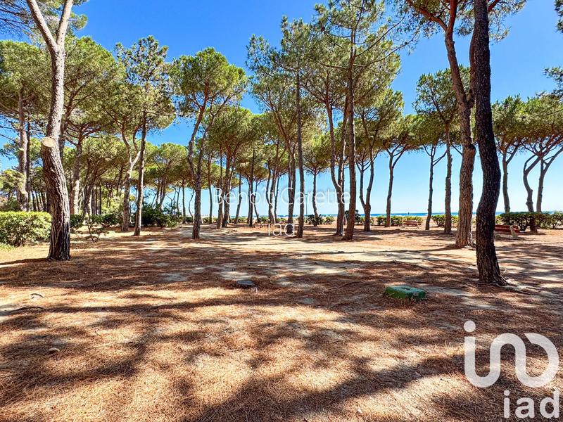 Appartement - 32 m² - 2 pièces