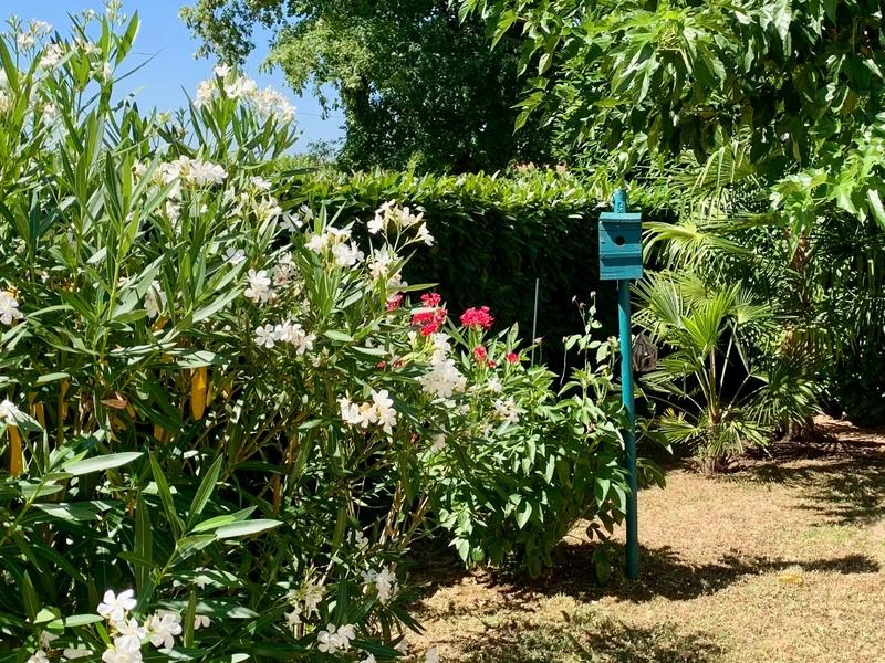 Maison en pierre - 140 m² - 6 pièces