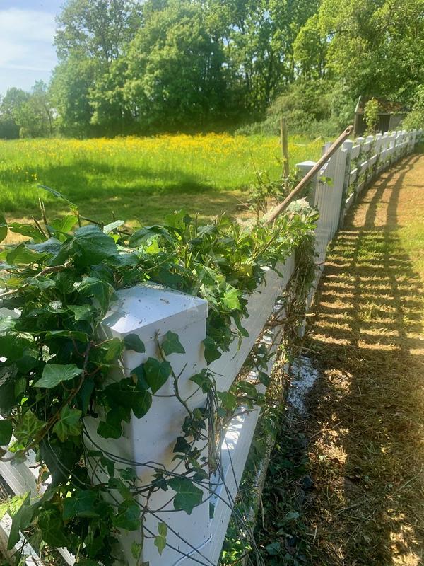 Manoir - 440 m² - 15 pièces