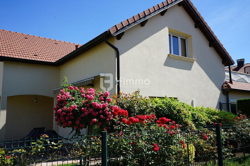 Immeuble - 500 m² - 12 pièces