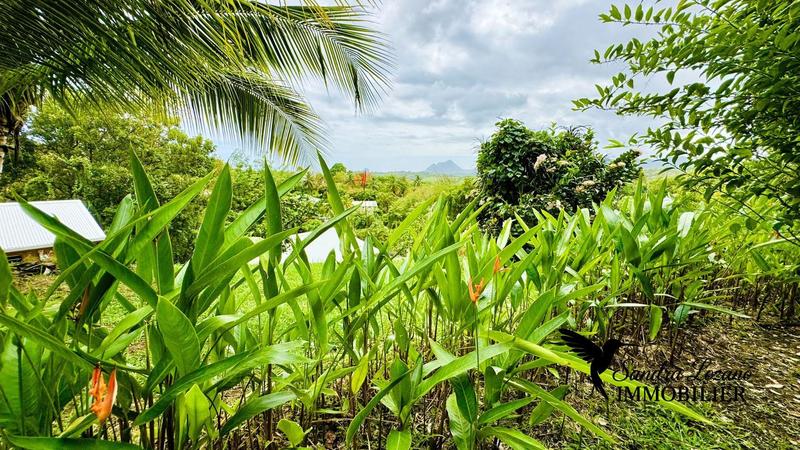 Propriété - 241 m² - 12 pièces