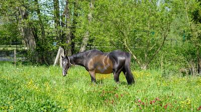 Maison - 113 m² - 6 pièces