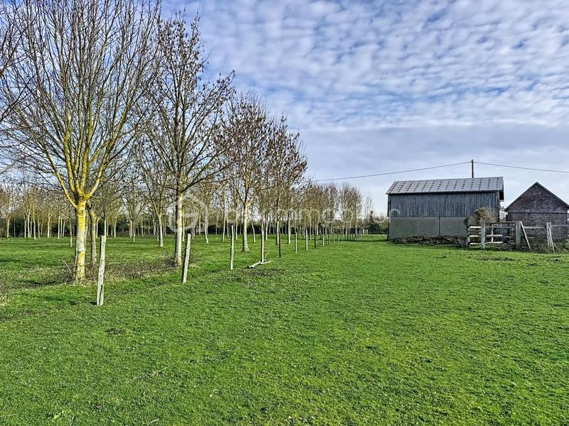 Maison de campagne - 164 m² - 7 pièces