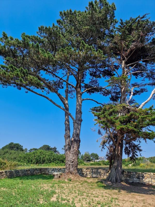 Propriété - 352 m² - 16 pièces