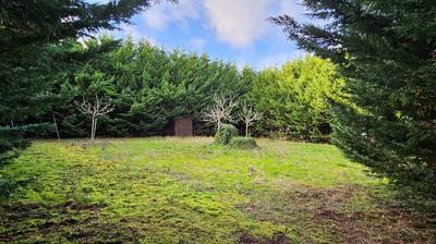 Terrain - 600 m²