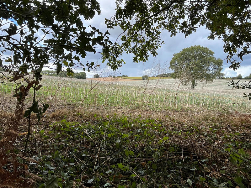 Maison - 70 m² - 2 pièces