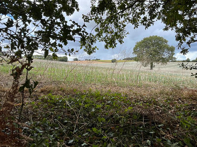 Maison - 70 m² - 2 pièces