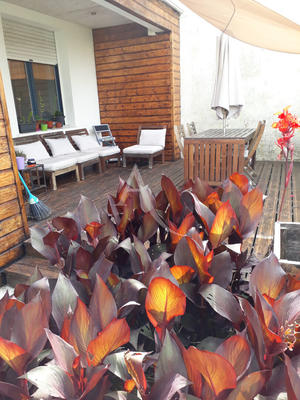 Maison - 89 m² - 4 pièces