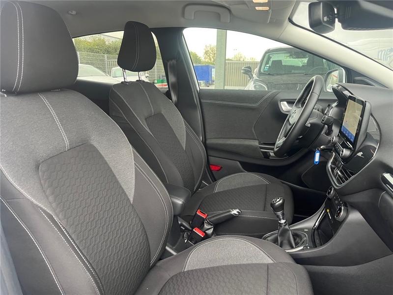 Ford Puma II 1.0 Flexifuel 125 Ch Mhev s&amp;S Bvm6 Titanium Business