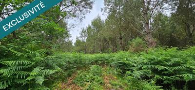 Terrain agricole - 5 640 m²