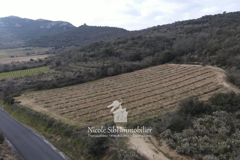 Terrain agricole - 7 897 m²
