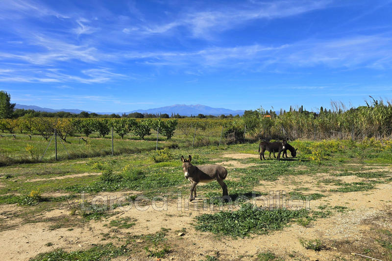 Maison - 154 m² - 4 pièces