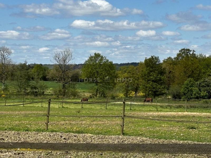 Maison de domaine équestre - 131 m² - 5 pièces