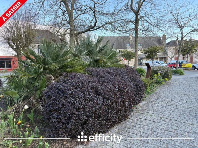 Appartement - 78 m² - 3 pièces