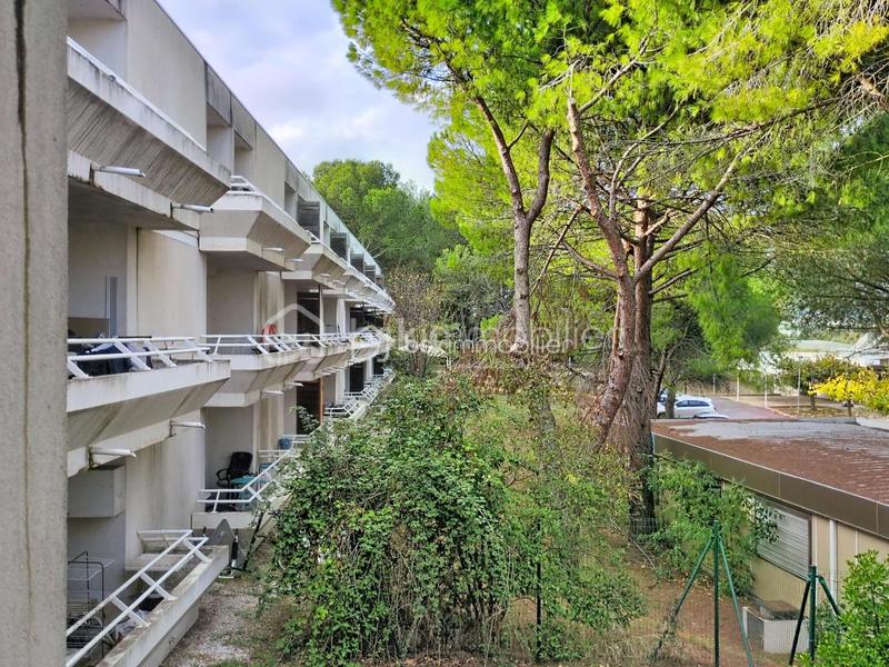 Studio - 20 m² - 1 pièce