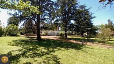 Maison - 175 m² - 5 pièces