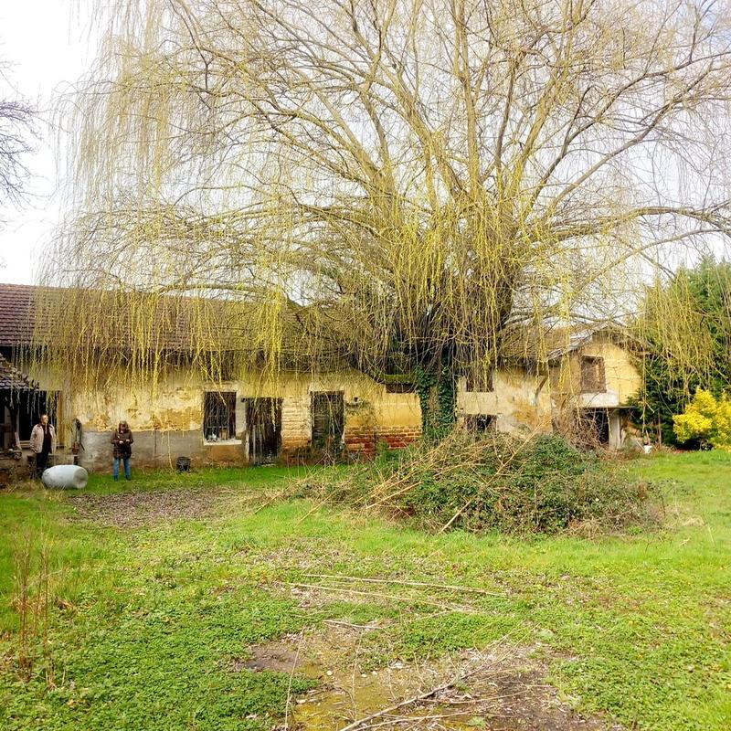 Maison - 300 m² - 4 pièces