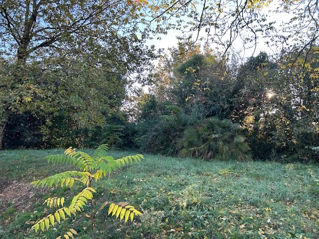 Terrain constructible - 1 489 m²