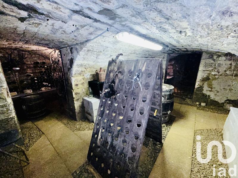 Château - 330 m² - 10 pièces