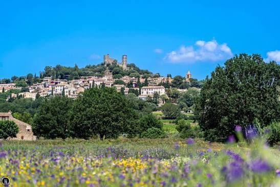 Villa - 360 m² - 7 pièces