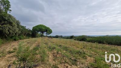 Terrain agricole - 73 520 m²